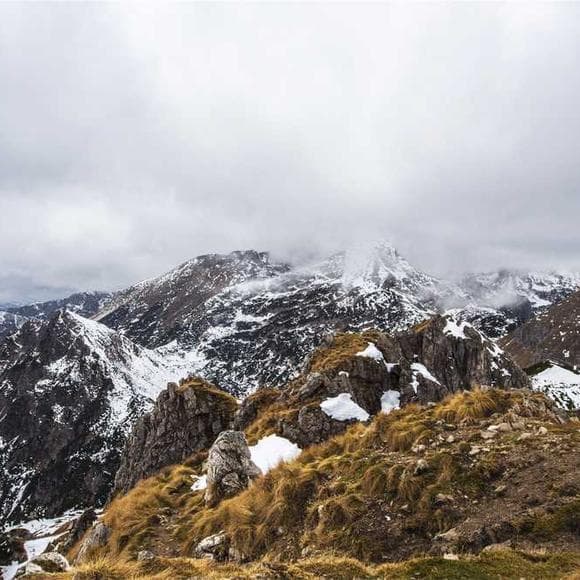 friedrich nietzsche Quotes Thoughts On Life