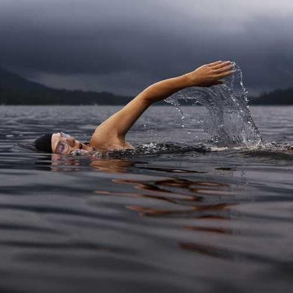 nalini singh Quotes Triggers