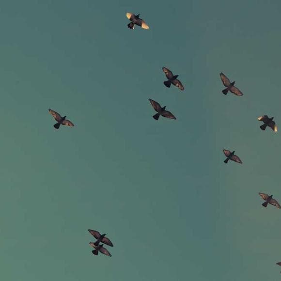 michel de montaigne Quotes True Freedom