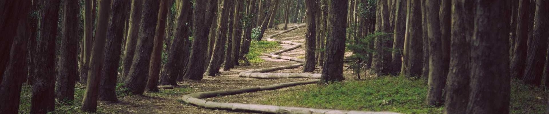 Humane Way