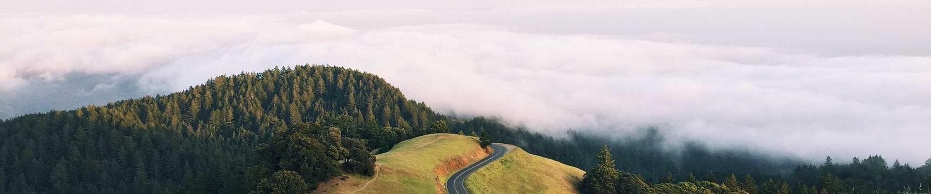 Guidance And Direction