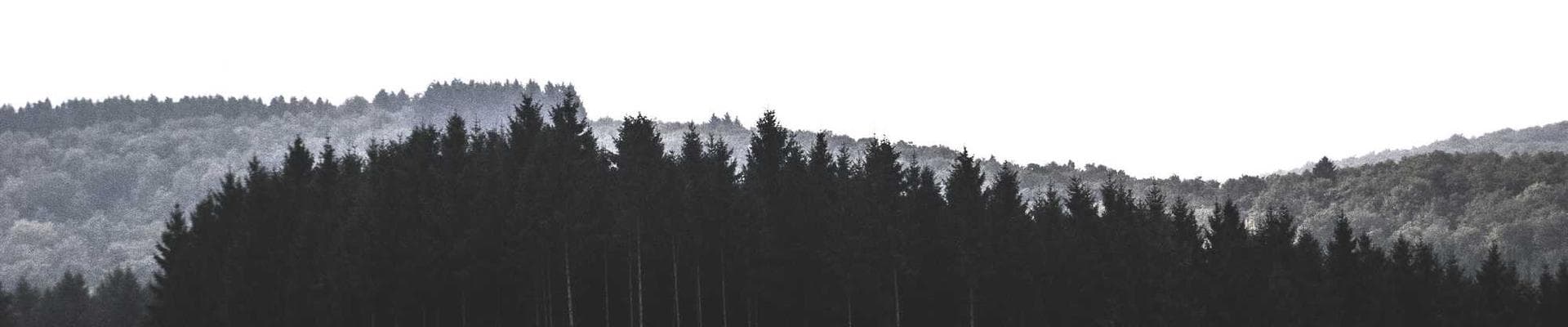 Worldly Things