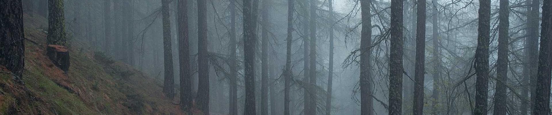 Keeping Silent